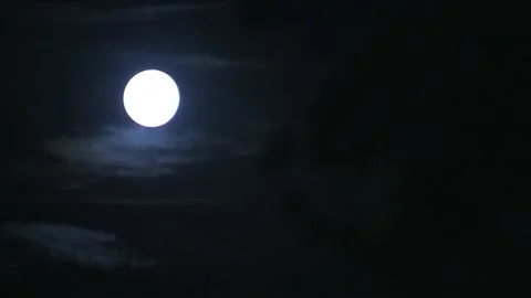 Moon Stock Footage 235267713