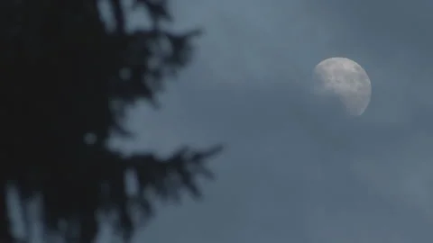 Moon Stock Footage 239992860