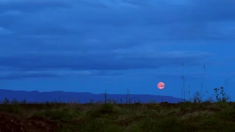 MOON Stock Footage 306622358