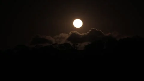 Moon Stock Footage 321048914