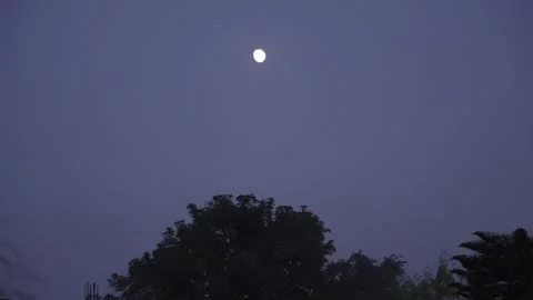 Moon Video stock 322980031