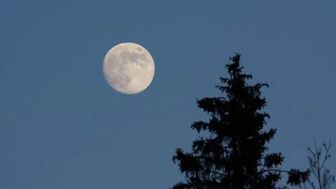 Moon Video stock 328006080