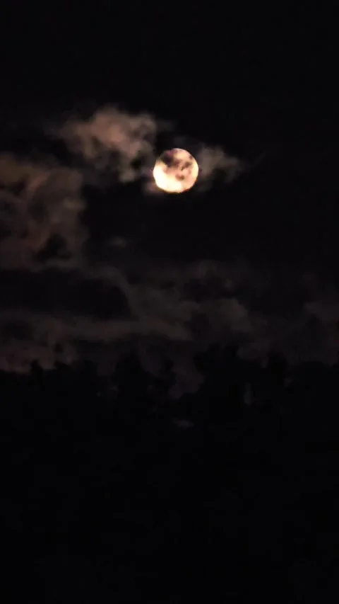 Moon Stock Footage 341690413