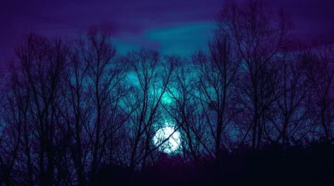 The moon by the forest close up time lapse video, strong zoom 스톡 동영상 48827401