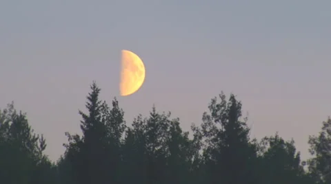The Moon Goes Down Behind the Forest Stock Footage 52855860