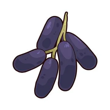 Moon Grape illustration Stock Illustration