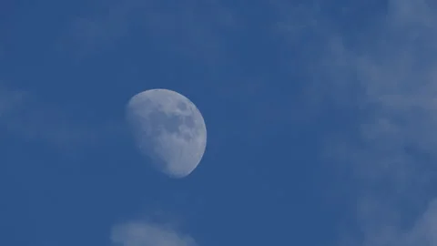 Moon half visible in the blue sky during late afternoon. Stock Footage 345502118