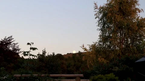Moon on hill from garden Vídeo Stock 138073856