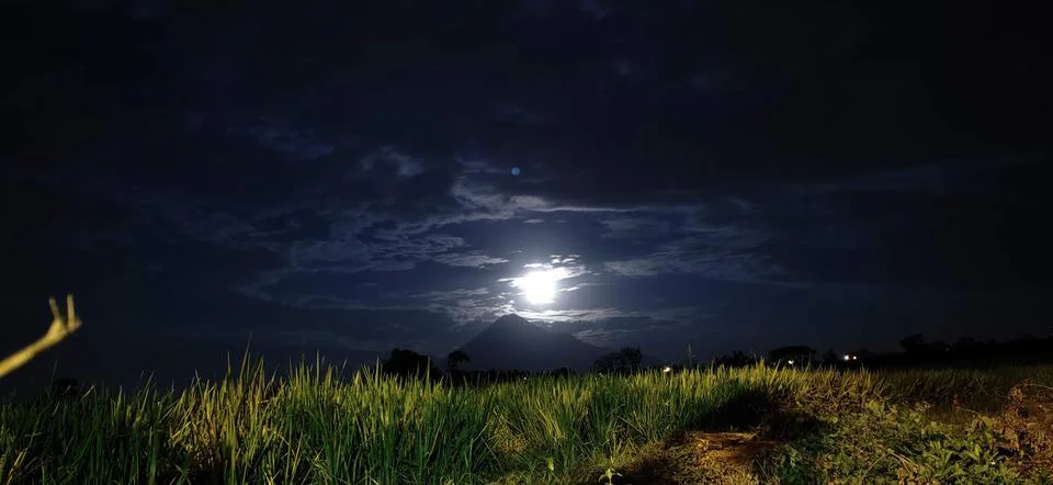 The moon illuminates the fields 库存照片