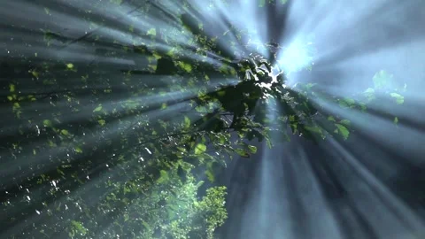 Moon light flare 库存影片 143746055