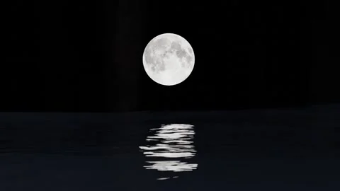 Moon light at night with water wave Video stock 310710596