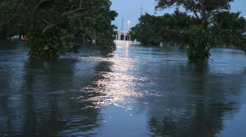 Moon light swamp: Trinity River flood water Video stock 50777255
