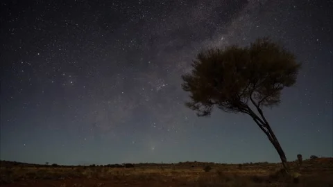 Moon lit night scape Milky way timelapse video 8k Stock Footage 131407856