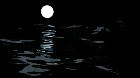 Moon lit ocean Stock Footage 11690554