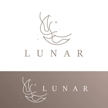 Moon Logo, Star Sky Moon Design Premium Vector Illustration Template Ilustração Stock