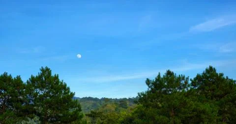 The Moon in the Morning Stock Photos
