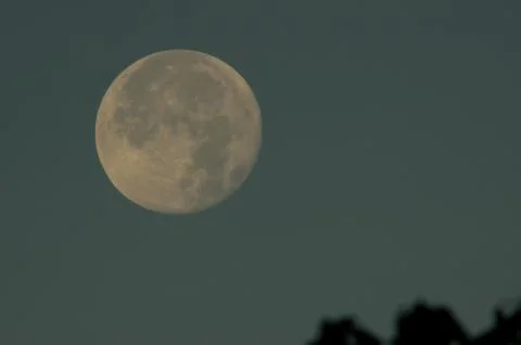 Moon in the morning sky Foto stock