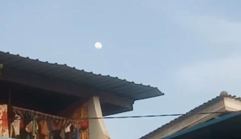 The moon in the morning when it will set Stock Footage 219907773
