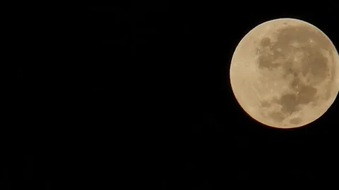 Moon movement on the sky in dark night, The moon on the side of the image, 스톡 동영상 71383892