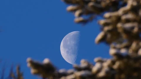 The moon moves in the sky above Siberia. Timelapse Stock Footage 302211341