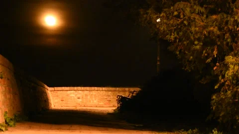 Moon Moving Above The Park Stock Footage 141055729