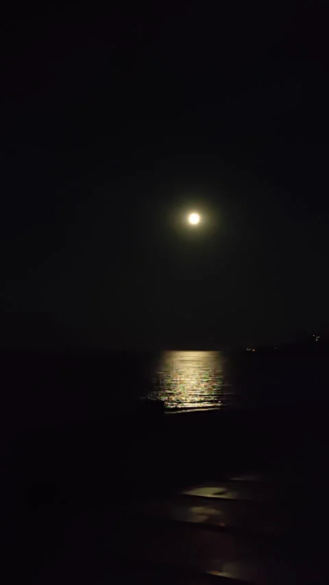 Moon moving across sky over sea at night Moon path on the sea surface. Moonrise Stock Footage 306348428