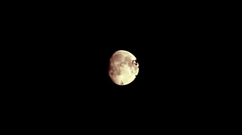 Moon moving towards the treeline Stock Footage 41579294