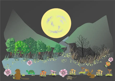 Moon Nature Stock Illustration