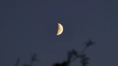 Moon at night and day Stock Footage 164155872