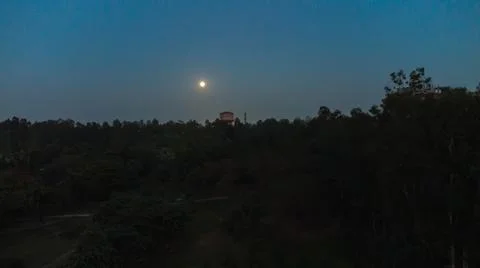 Moon night blue dramatic sky with black tree shadow at evening 写真素材