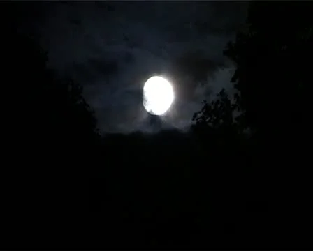 Moon at night Vídeo Stock 10909517