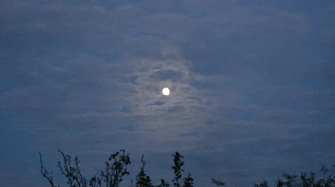 The moon in the night. 動画素材 52566622