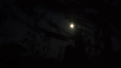 Moon at night Stock Footage 208845296