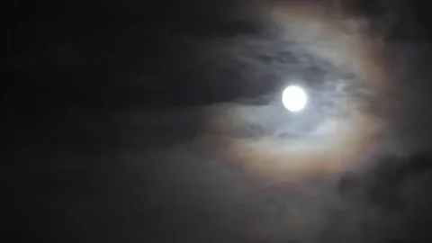 The moon in the night Stock Footage 235276647