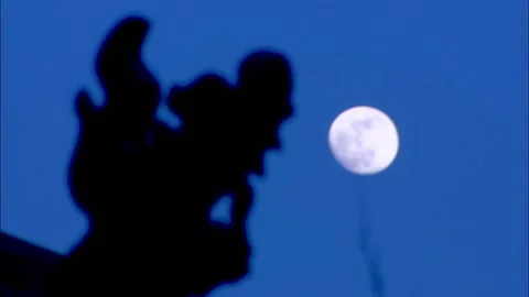 The moon in the night Stock Footage 235276838