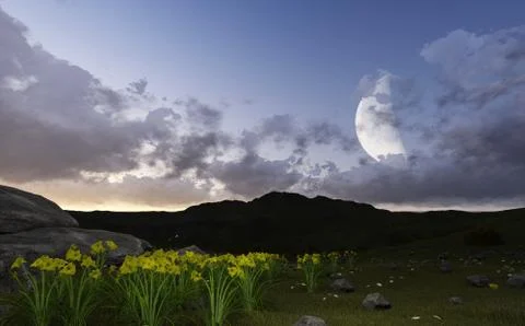 Moon night Stock Illustration