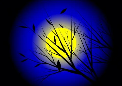 Moon night Illustrazione stock