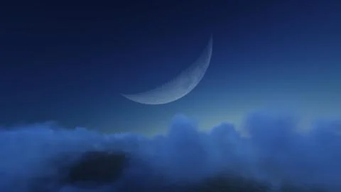 Moon at the night Illustrazione stock