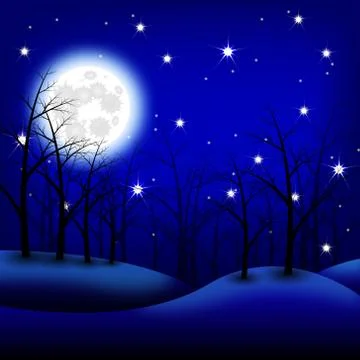 Moon night landscape. Vector illustration Stock Illustration