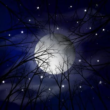 Moon night landscape. Vector illustration Stock Illustration