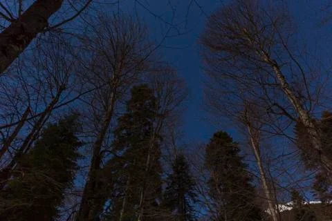 Moon night in the mountains Stock Photos