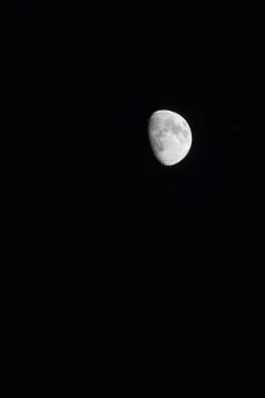 Moon in the night Foto stock