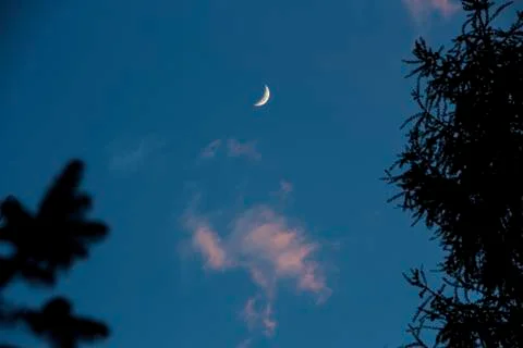 Moon in night Stock Photos