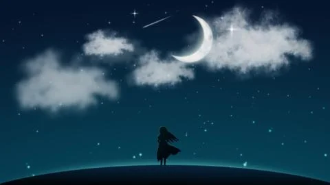 Moon night  Stock Photos