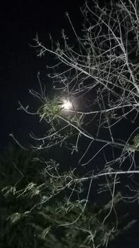 Moon night Stock Photos