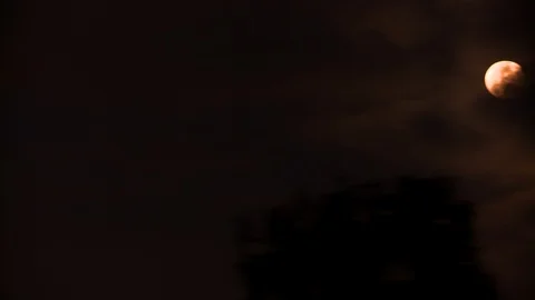 Moon in the night sky Stock Footage 106824694