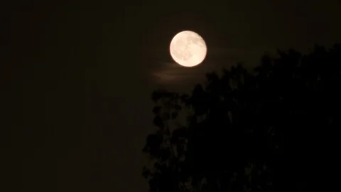 Moon in the night sky Stock Footage 106837912