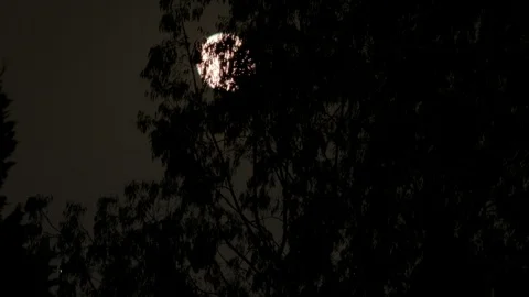 Moon in the night sky Stock Footage 106837928