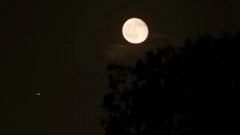 Moon in the night sky Stock Footage 106837933