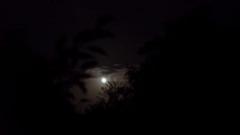 Moon in the night sky. Moonlight. Midnight. Halloween Man turns into a vampire. Stock Footage 99841312